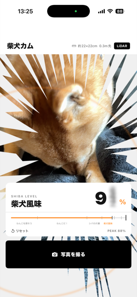 アプリ画面サンプル