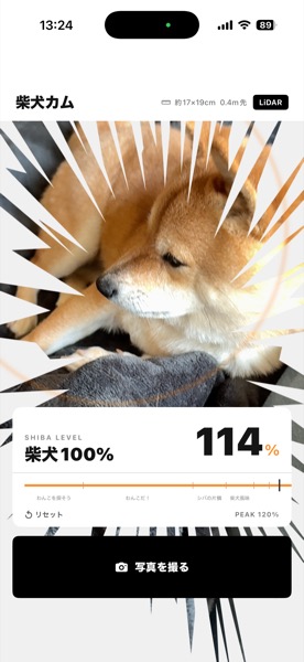 アプリ画面